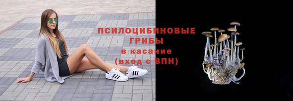 сатива Нязепетровск