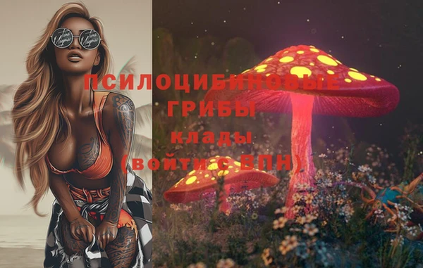 гидропоника Няндома
