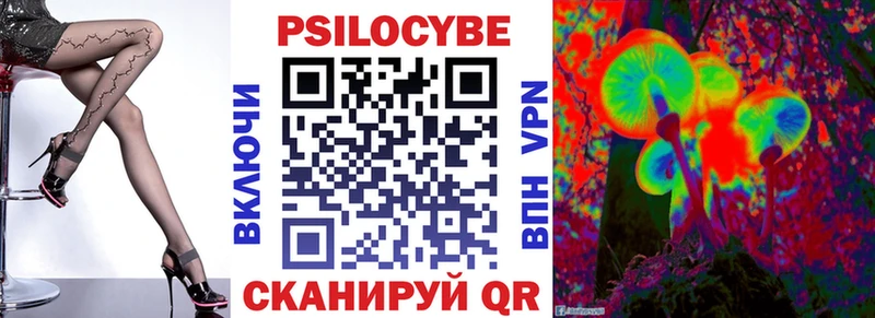 купить  цена  Покачи  Галлюциногенные грибы Psilocybine cubensis 